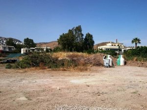 Bodrum’da Sahili Genişletmek İçin Ağaç Katliamı Yaptılar