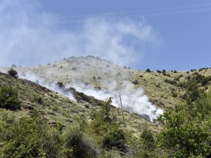 Gümüşhane’de Örtü Yangını