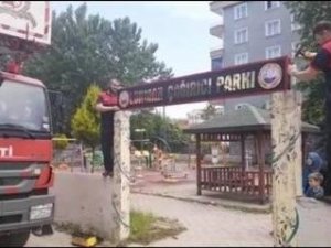 İş Makinesi İle Parkın Girişini Yıktılar, Ağaçta Mahsur Kalan Yavru Kargayı Kurtardılar