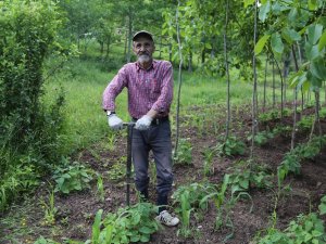 Artvin’de Bu Kez Kene Paniği Yaşanıyor