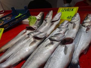Çanakkale’de Sardalya Yağlandı, Vatandaş Bayram Etti