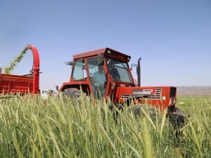 Çiftçilere 780 Milyon Lira Hasar Tazminatı Ödenecek