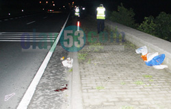 Rize’de İnsanlık Öldü… Hem Çarptı Hem Kaçtı