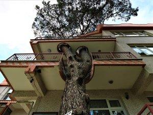 Kesmeye Kıyamadıkları Ağacı Binanın İçinden Geçirdiler