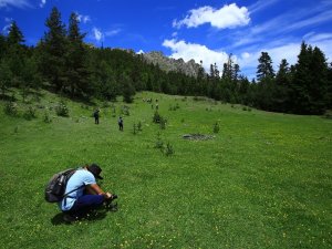 Gümüşhane Yaylalarını Yürüyerek Keşfediyorlar
