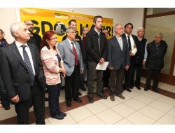 Gdo’lu Ürünler Karaciğer, Pankreas Ve Testis Fonksiyonlarını Bozuyor