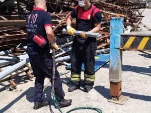 Elektrik Direğinin İçinde Sıkışan Minik Kedi Uzun Uğraşlar Sonucu Kurtarıldı