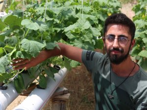 Salgın Tatilini Fırsata Çevirdi, Topraksız Tarıma Yöneldi