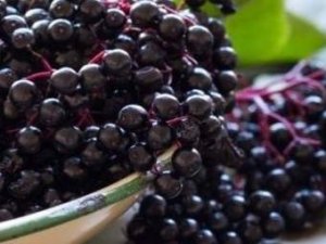 Korona Virüs Salgınında Değeri Daha İyi Anlaşıldı