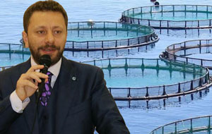 Milletvekili Avcı: Ardeşen'deki Deniz Kafesli Balık Çiftliği Projesi Durduruldu