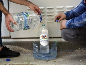 Gümüşhane’de Sokak Hayvanları Susuz Kalmayacak