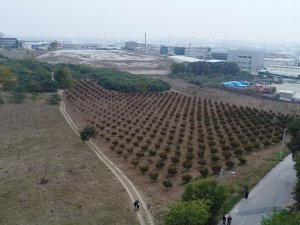 Toki’nin Arsaları Açık Arttırma İle Satışa Çıkıyor