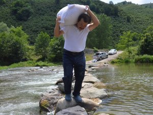 Survivor Parkuru Gibi Ev Yolu