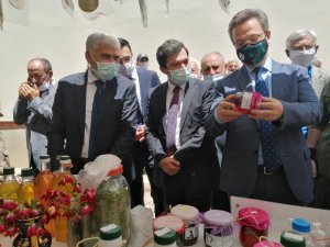 Vali Ünlü’den Ekolojik Pazar Açılışı