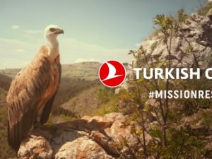 Thy Çevre Duyarlılığı Sayesinde Binlerce Ağacı Kurtardı