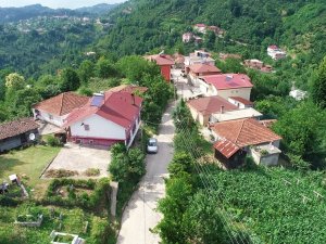 Karadeniz Fıkrası Gibi Mahalle: Yer Gök ‘Sarı’