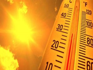 Rize'de Sıcaklıklar Mevsim Normallerinin Üzerine Çıktı