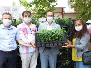 Faydaları Saymakla Bitmiyor, Kanser Hücrelerini Bile Yok Edebiliyor