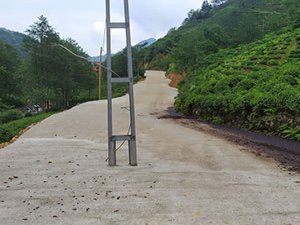 Rize'de Yol Ortasındaki Direk Şoförleri Şaşırtıyor