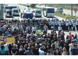 Giresun'da Soma’da Yaşanan Maden Faciası Protesto Edildi