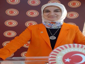 Ak Parti Milletvekili Gürel’den “Baro” Açıklaması