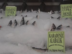 Korona Virüs Balık Satışlarını Artırdı, En Çok Levrek Ve Çipura Tüketiliyor