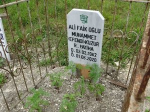 Tabutta Kan İzi Gördü, Dedektif Gibi İz Sürdü
