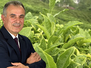 TTB Yönetim Kurulu Başkanı Ergan'dan Çay Kanunu Çıkarılması İsteği