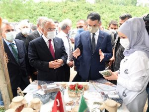 “2020 Yılı Fındık Rekoltemizi 665 Bin Ton Olarak Öngörmekteyiz”