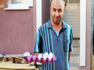 Mavi Yumurtaya Talep Arttı