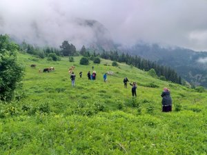 Artvin’de Maden Köy Şelalesi Keşfedilmeyi Bekliyor