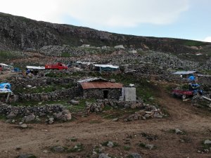 Artvin’de Asırlık Yaylacılık Geleneği Yaşatılıyor