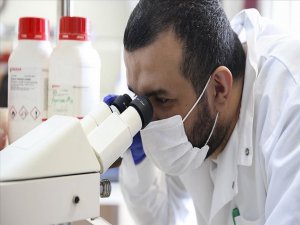 Türk bilim insanları kanserle savaşacak 'uyuyan hücrelerin' şifrelerini keşfetti