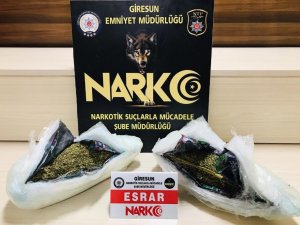 Giresun’da Uyuşturucu Operasyonunda 1 Tutuklama