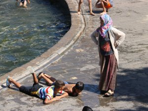 Termometreler 47 Dereceyi Gösterdi, Hayat Durma Noktasına Geldi