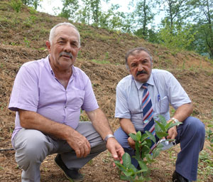 Artvin'de 50 dönüm alanda aronya üretilmesi hedefleniyor