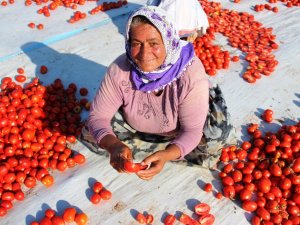 İtalya’nın Pizzasına, Abd’nin Hamburgerine Torbalı Domatesi