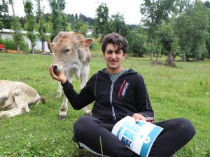 Hem Çobanlık Yapıyor Hem Ders Çalıyor