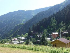 Artvin Yanıklı Köyünde 300 Yıllık Kurban Geleneği Yaşatılıyor