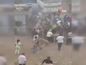 Fas’ta Kurban Pazarı Karıştı, 20 Kişi Gözaltına Alındı