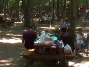 İstanbul’da Kalan Vatandaşlar Belgrad Ormanı’na Akın Etti