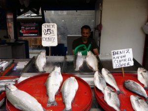 Balıkçı Esnafı Tarihinin En Durgun Dönemini Yaşıyor