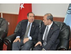 Ab Bakan Yardımcısı Büyükkaya Muş’ta