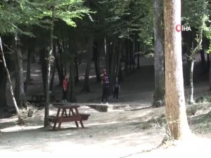 Bayram Sonrası Belgrad Ormanı Sessizliğe Büründü
