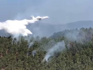 Sinop’taki Orman Yangınına Havadan Müdahale Ediliyor