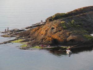 Gören ’Timsah’ Sanıyor