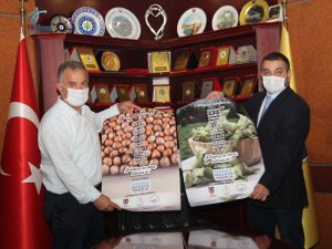Ttb Başkanı Eyyüp Ergan’dan Fındık Hasadı Öncesi Covid-19 Uyarısı