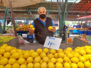 Limon İhracatında Ön İzin Şartı Kaldırıldı