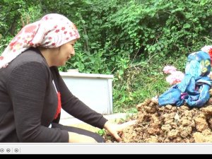 İkra Nur İçin İstanbul Adli Tıp Kurumu’nun Raporu Bekleniyor