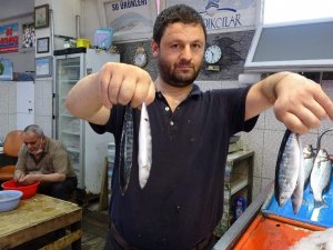 Tezgahlar Çingene Palamudu İle Şenlendi